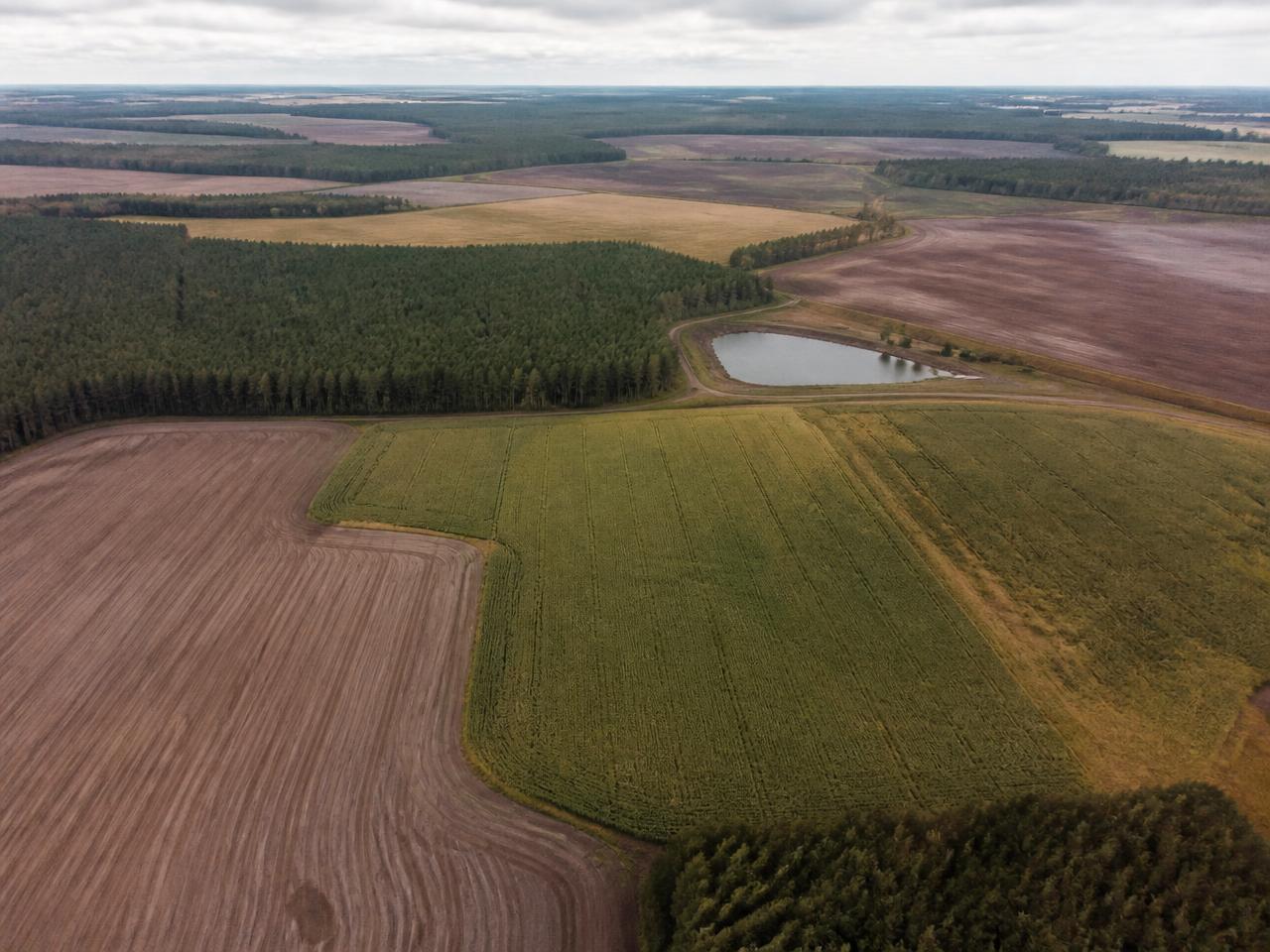 Aerial view of farmland fields, boundaries and farm tracks